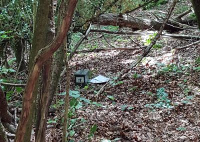 IMG-20180706-WA0038